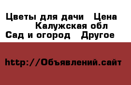 Цветы для дачи › Цена ­ 25 - Калужская обл. Сад и огород » Другое   